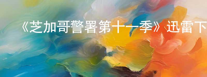 陳亞財的動漫綜藝大全,《芝加哥警署第十一季》迅雷下載/在線觀看-犯罪歷史-美劇天堂